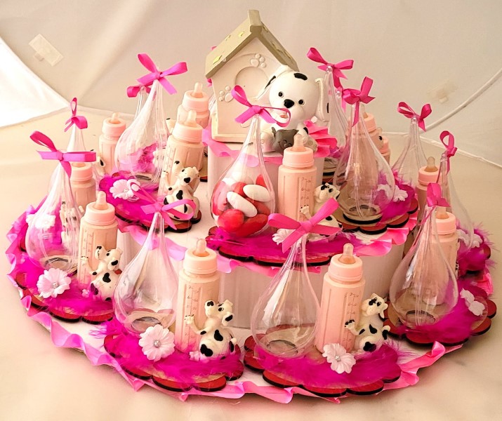 ../Images/plateau biberon chien sept 2024.jpg